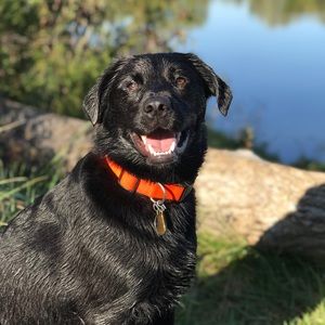 Meet your Posher, Nicholas